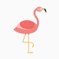 Flamingo Royalty Free Stock Photo