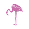 Flamingo. Vector illustration