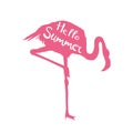 Flamingo. Vector illustration