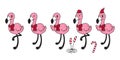 Flamingo vector set Christmas hat Santa Claus hat Xmas scarf cartoon character pink flamingos candy cane illustration Cute animal