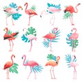 Flamingo vector tropical pink flamingos and exotic bird with palm leaves illustration set of fashion birdie isolated on