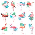 Flamingo vector tropical pink flamingos and exotic bird with palm leaves illustration set of fashion birdie isolated on