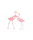 Flamingo wedding invitation, greeting card with pink flamingos. Beautiful watercolor illustration of love birds Royalty Free Stock Photo