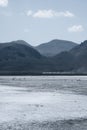 Flamingo of White Lagoon in Bolivia South America Salt Flat Uyuni