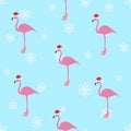 Flamingo winter style seamless pattern