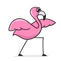 Flamingo yoga. Cartoon flamingo isolated on white background. Vector