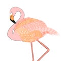 Flamingo zentangle hand drawn colored graphic illustration Royalty Free Stock Photo