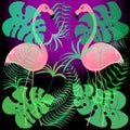 Flamingoes and exotic tropical plants on a dark background. vector.