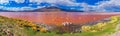 Flamingoes in Laguna Colorada , Bolivia Royalty Free Stock Photo