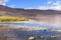 FLAMINGOES AT RED LAGOON, BOLIVIA