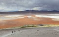 FLAMINGOES AT RED LAGOON, BOLIVIA