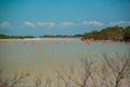 Flamingoes at Rio Lagartos Biosphere Reserve, Yucatan, Mexico