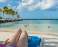 Flamingos beach in Aruba. Young woman resting Royalty Free Stock Photo