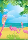 Flamingos on beautiful tropical beach