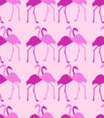 Flamingos - bird pattern