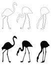 Flamingos - bird silhouette