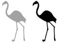 Flamingos - bird silhouette