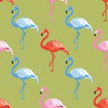 Flamingos bird wildlife vector seamless pattern.