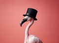 Flamingos in a black hat with a black beak on a pink background