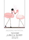 Flamingos. Bride groom. Wedding invitation greeting card Royalty Free Stock Photo