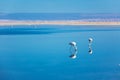Flamingos in Chaxa lagoon salt lake, Atacama desert, Chile, South America Royalty Free Stock Photo