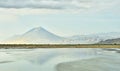 Flamingos fly over the lake Natron.