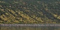 Flamingos fly over the lake Natron. Mountains on the background. Royalty Free Stock Photo