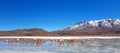 Laguna Hedionda, Bolivia, South America