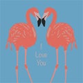 Flamingos in love Royalty Free Stock Photo