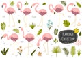 Flamingos and plants tropical collection. Set of isolated elements