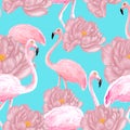 Flamingos seamless pattern