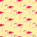 Flamingos seamless pattern