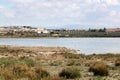 Flamingos in Spanish lake Fuente de Piedra