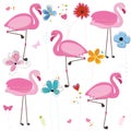 Flamingos with spring time colorful doodle flower. Flamingos with different poses pattern