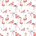 Flamingos On White Background Geometrical Pattern Seamless Repeat Background