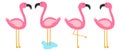 Four modern pink flamingo set Royalty Free Stock Photo