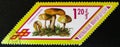 Flammula Spumosa mushrooms, series, circa 1978 Royalty Free Stock Photo