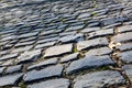 Flandres Cobblestone Road - Detail