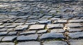 Flandres Cobblestone Road - Detail Royalty Free Stock Photo