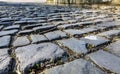 Flandres Cobblestone Road - Detail Royalty Free Stock Photo