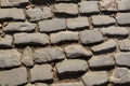 Flandres Cobblestone Road - Detail Royalty Free Stock Photo