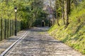 Flandres Cobblestone Road