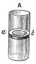 Flap Valve, vintage engraving