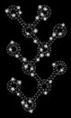 Flare Mesh Network Binary Tree with Light Spots Royalty Free Stock Photo