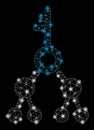 Flare Mesh Wire Frame Binary Key with Flare Spots Royalty Free Stock Photo