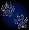 Flare Mesh Wire Frame Tiger Footprints with Light Spots Royalty Free Stock Photo