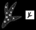 Glowing Net Bird Step Icon with Constellation Lightspots