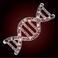 Flare Network Mesh Genome Molecule with Light Spots