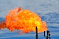 A flare stack burning off natural gas. Royalty Free Stock Photo