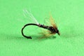 Flash back nymph trout fly imitation